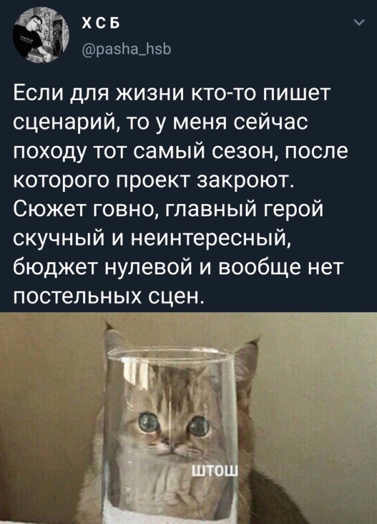 Картинки и мемы для настроения 12.10.2021