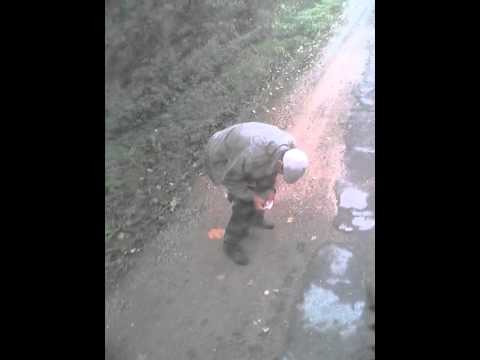 Уборочная в разгаре