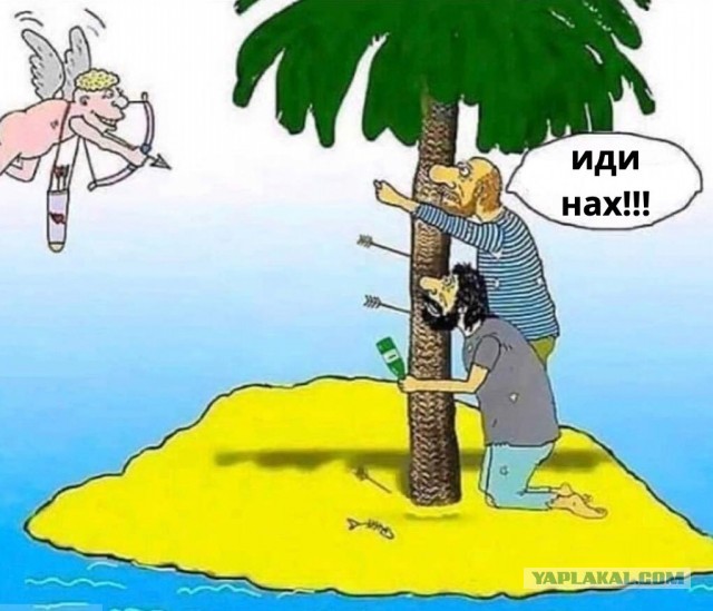 50 оттенков серого! Или самосвал баянов