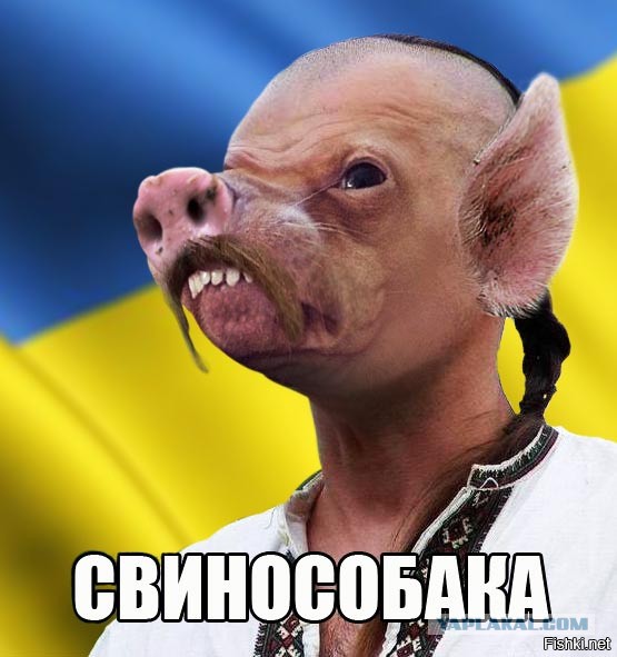 В случае продолжения провокаций Киеву не поздоровится, заявили в МИД