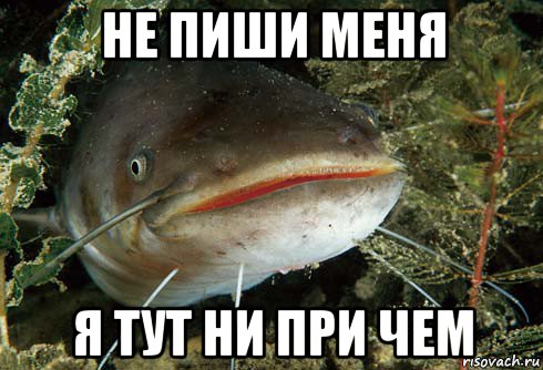 Что же там в голове-то...