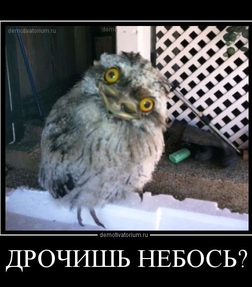 Зачем в дождь надевать белые штаны?