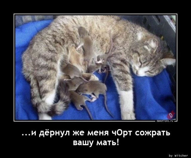Картинки с надписями 27.11.22