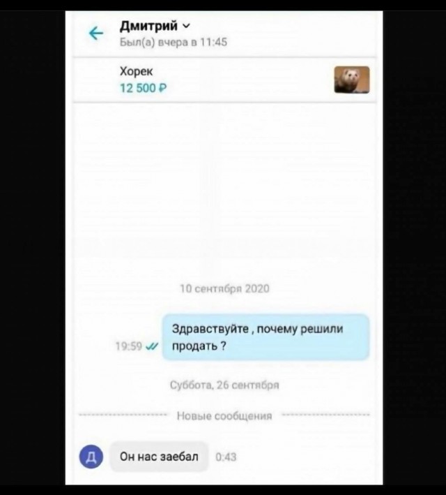 Картинки и мемы, всем хороших выходных