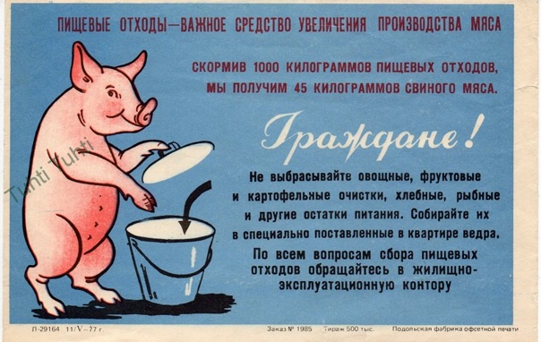 Депутаты Госдумы предложили запретить мусоропроводы в домах
