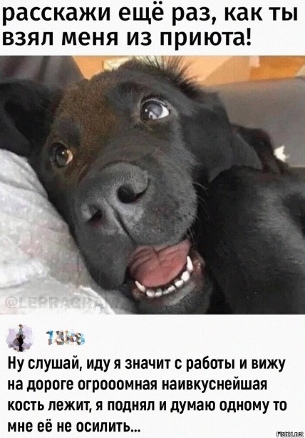 Забавные комментарии из социальных сетей (08.05.23)