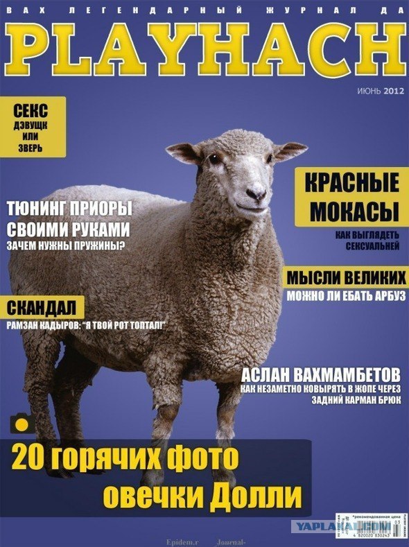Ночная лезгинка в Ставрополе закончилась колонией
