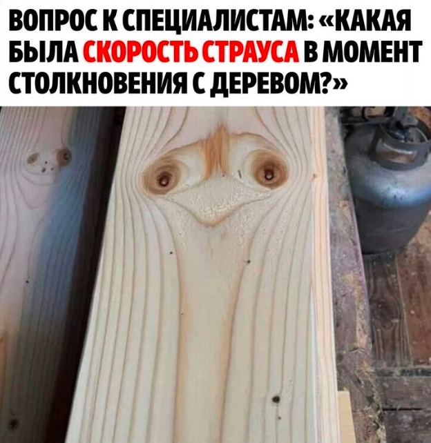 Так себе картинки 30.06.23