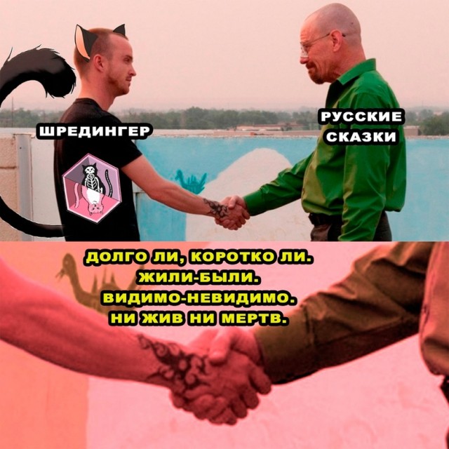 Весёлый полтишок 12.07 23