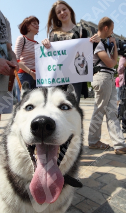 Первомайская монстрация 2013