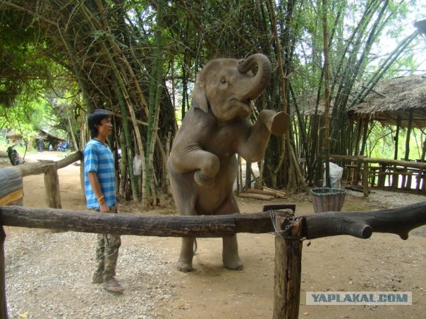 Тай, который мало, кто видел