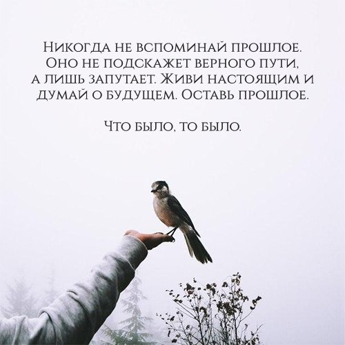 Нуштош 30.04.2024