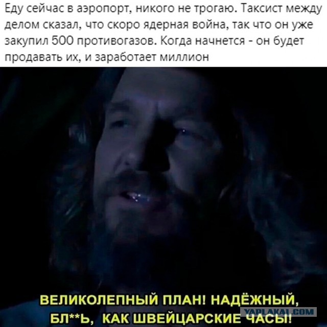 Весёлый полтишок 13.05 24