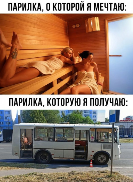 Весёлый полтишок 22.07 24
