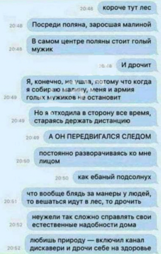 Весёлый полтишок 04.10.2024