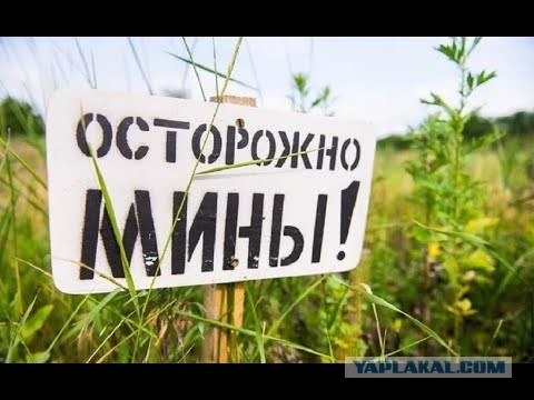 «Если полезут, то получат по соплям»: Картаполов оценил угрозу российским военным базам в Сирии