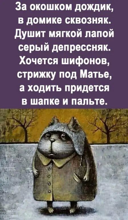 Прикольные и просто красивые картинки 10.01.2025