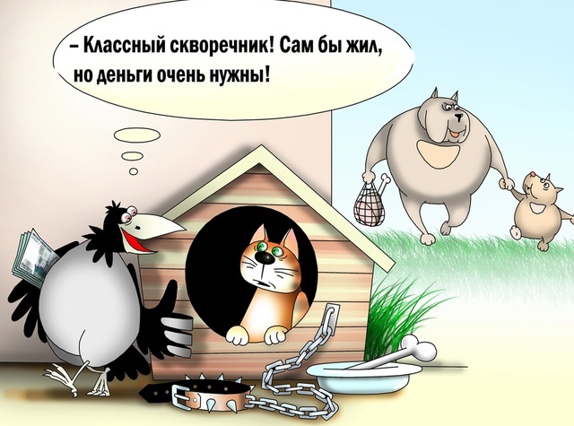 Так себе картинки 25.02.25