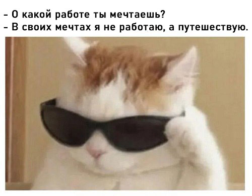 К котовторнику: подборка картинок-баянов с котиками и про котиков. Выпуск 8