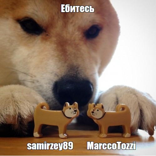 Строгие санкции против Telegram будут вводиться после запуска российского мессенджера Max — сообщил Сергей Боярский