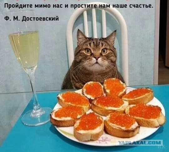 Так себе картинки 29.08.25