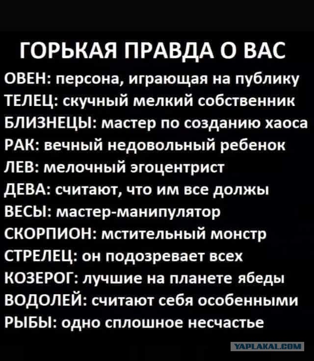 Так себе картинки 15.11.25