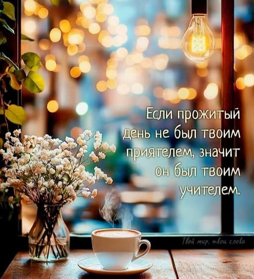 Веселые картинки в маленькую пятницу (03.12)