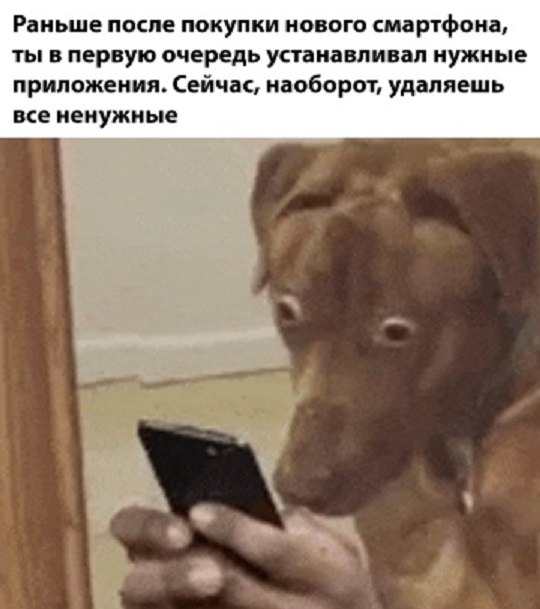 Весёлый полтишок 11.12.25