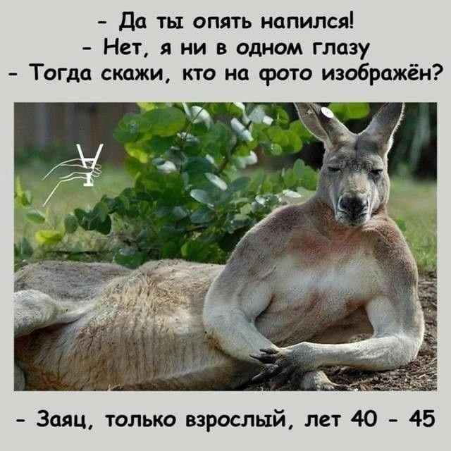 Понедельника картинки