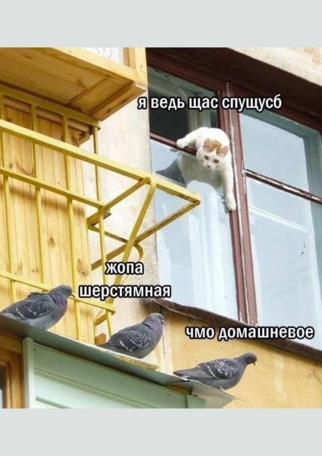 Хотите пустоты? Дарю вам частичку!