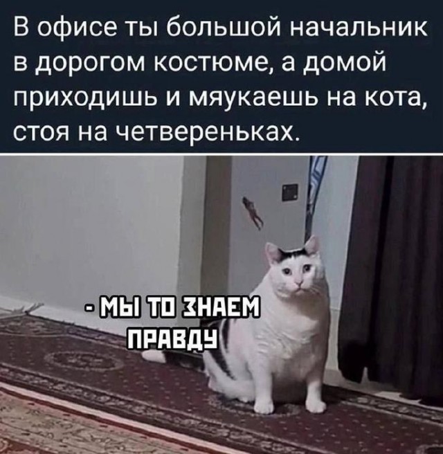 Картиночки, баянчики 12 января