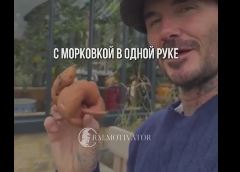 Обычный дачник