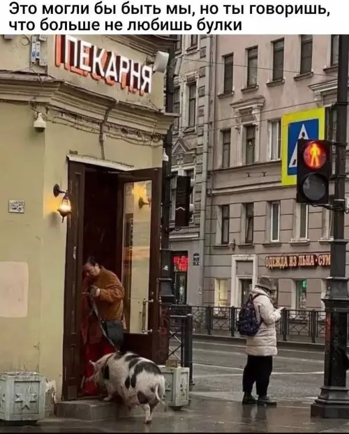 Картиночки, баянчики 19 февраля