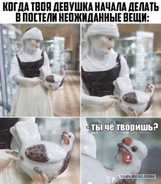 Новая учительница физкультуры