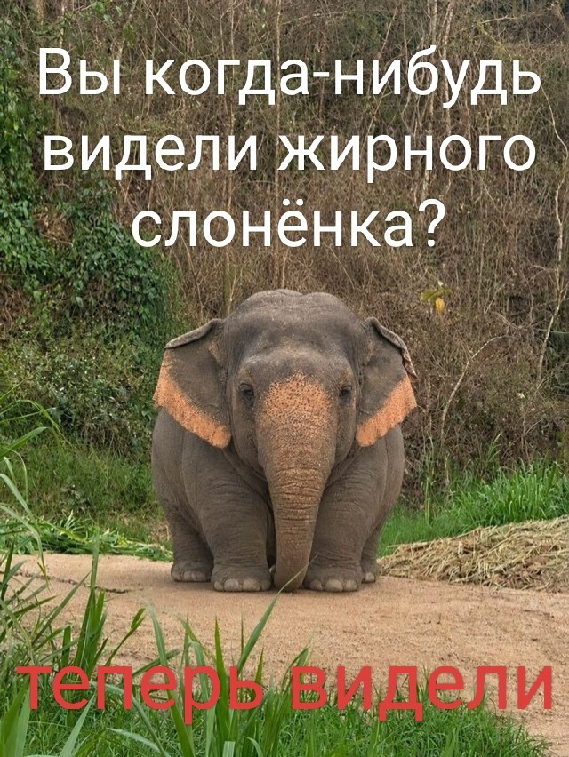 Забавные картинки, шутки из этих ваших интернетов