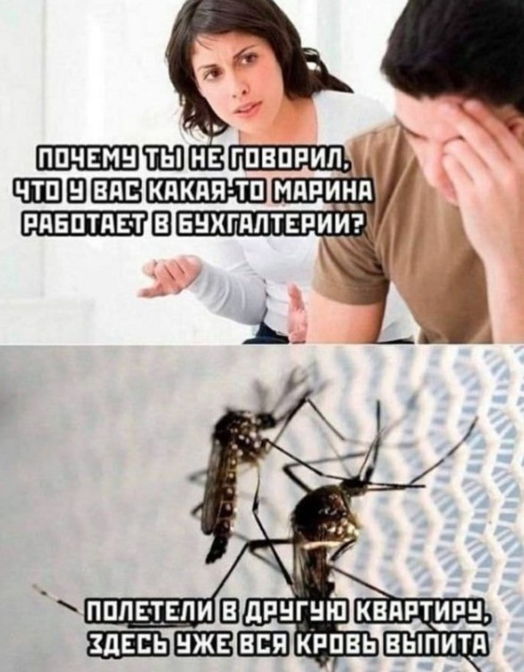 Картинки для деградации 252 (разной степени свежести)