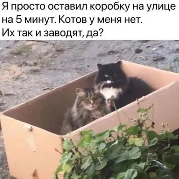 Завалялось тут случайно немного забавных картинок