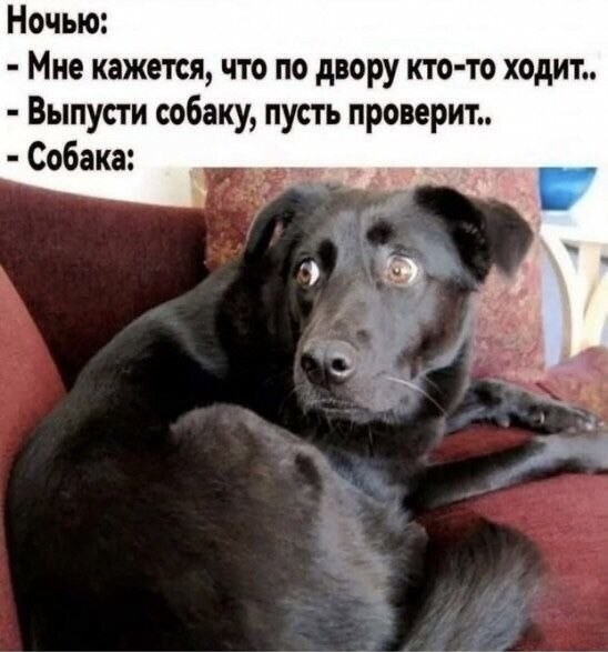 Картинки для деградации 294 (разной степени свежести)