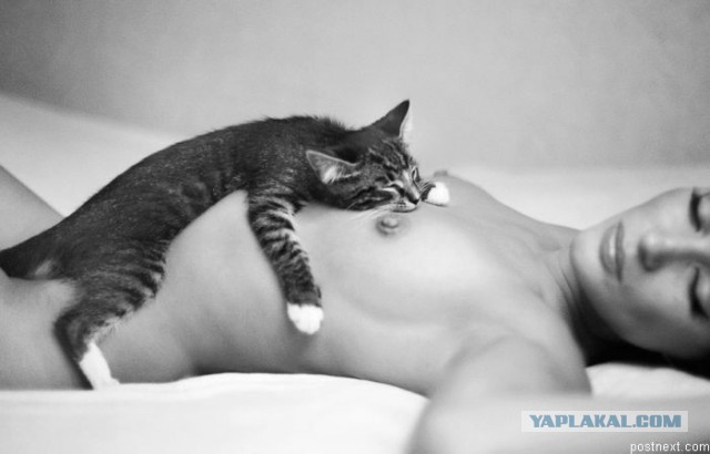 Пусть мама услышит, пусть мама придет - мимишность