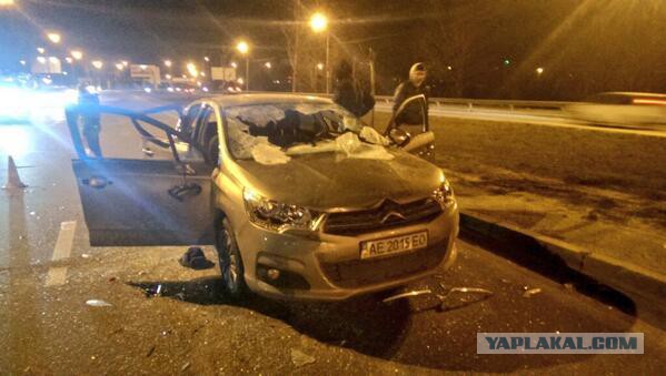 Беркут растрощил водителю автомобиль.