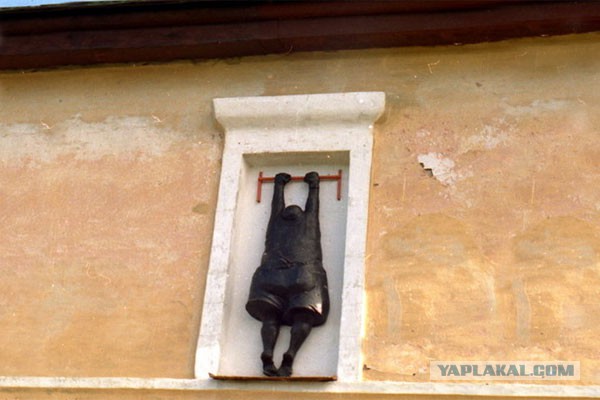 Девушка и котэ