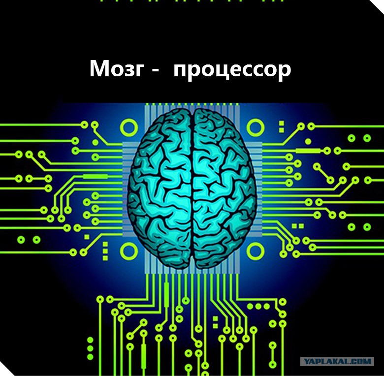 Человеческий мозг и компьютер. Мозг компьютера. Процессор мозг компьютера. Электронный мозг. Мозг против процессора.