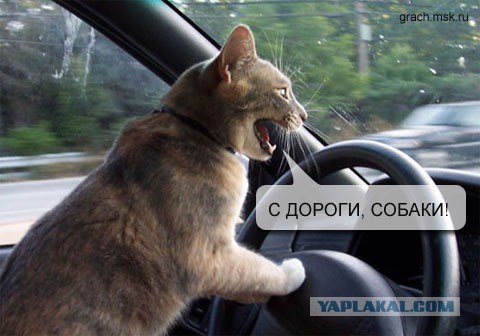 Хитрый план