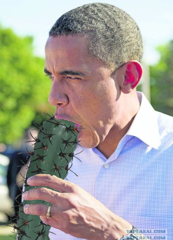 Обама и мороженое
