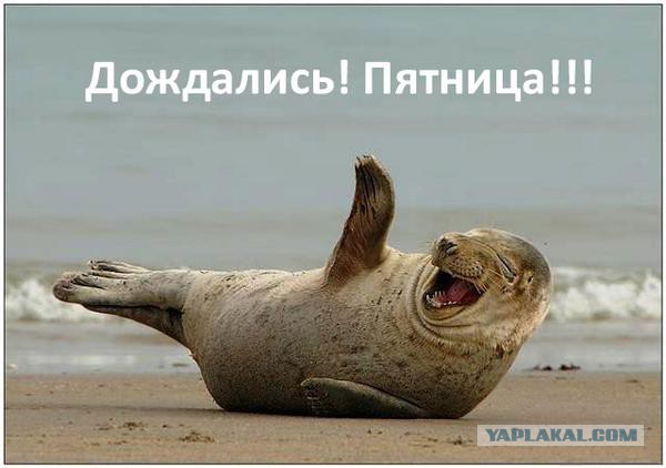 Картинка к пятнице