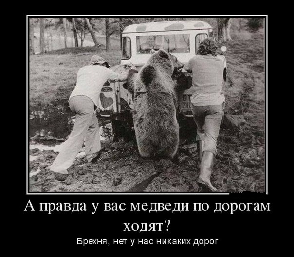 Картинки из сети для настроения