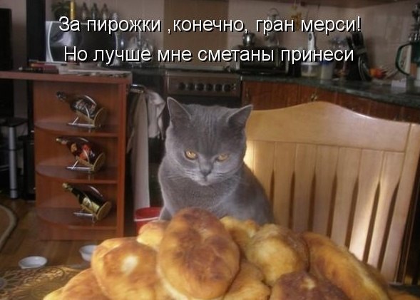 Весёлые картинки