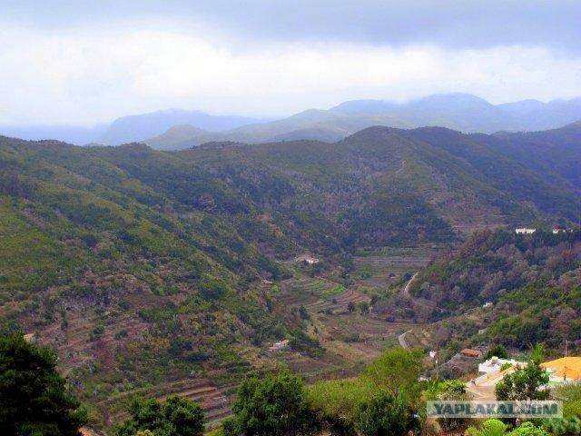 Канарские острова