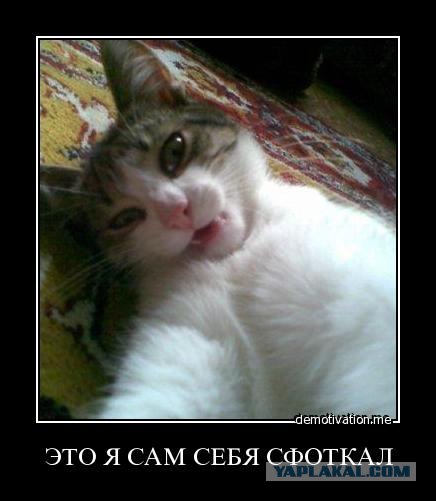 Как получаются такие фотографии