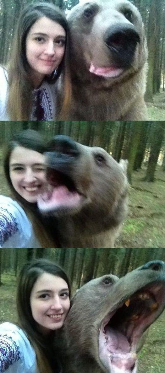 Весёлые картинки